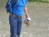 estete 2008 1246